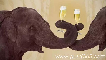 大象请狒狒喝酒