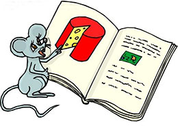 老鼠吃书
